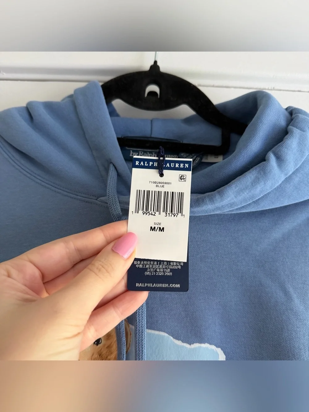 Polo Ralph Lauren Light Blue Beach Bear Hoodie NWT